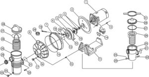 pump parts pentair challenger pool replacement series