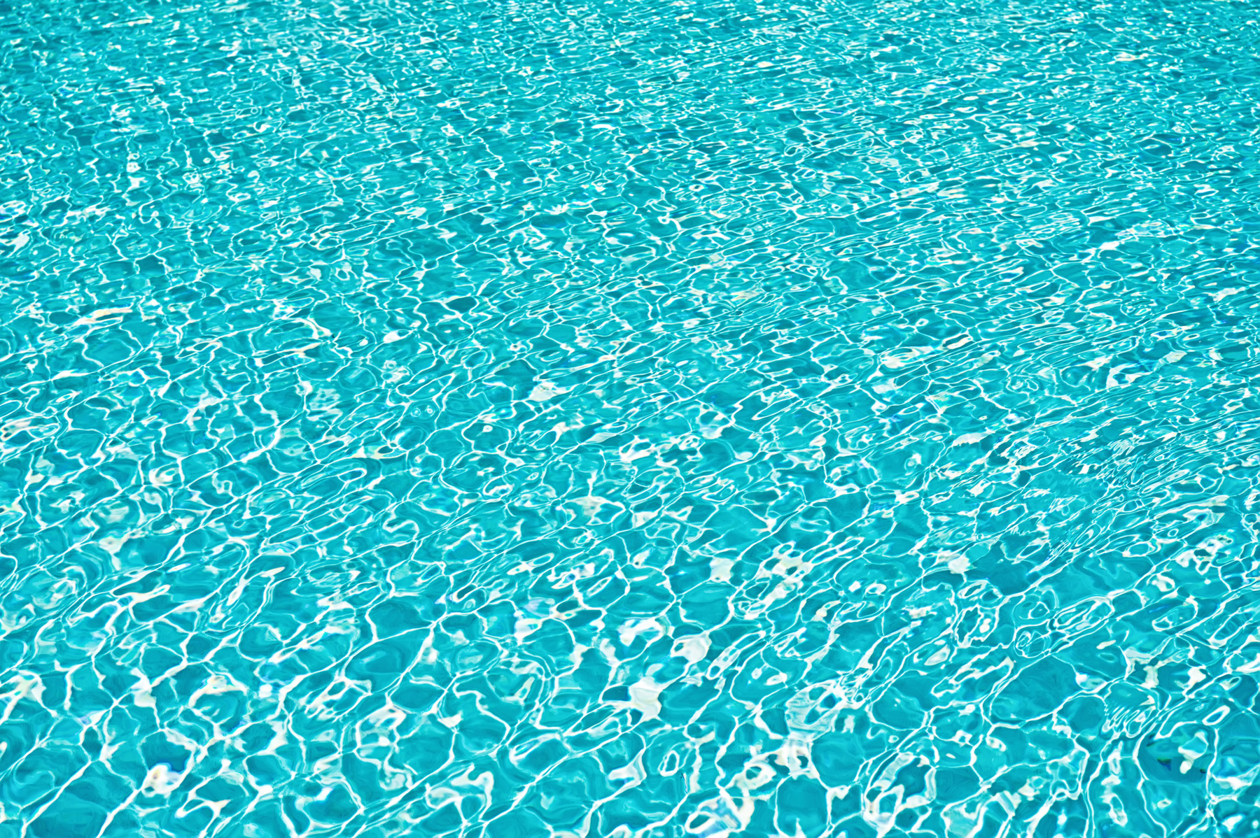 Saltwater Pool Maintenance: A Pocket Guide | Halogen Supply