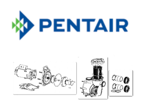 Pentair Pump Parts