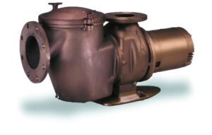 C-Series Pentair Pool Pumps